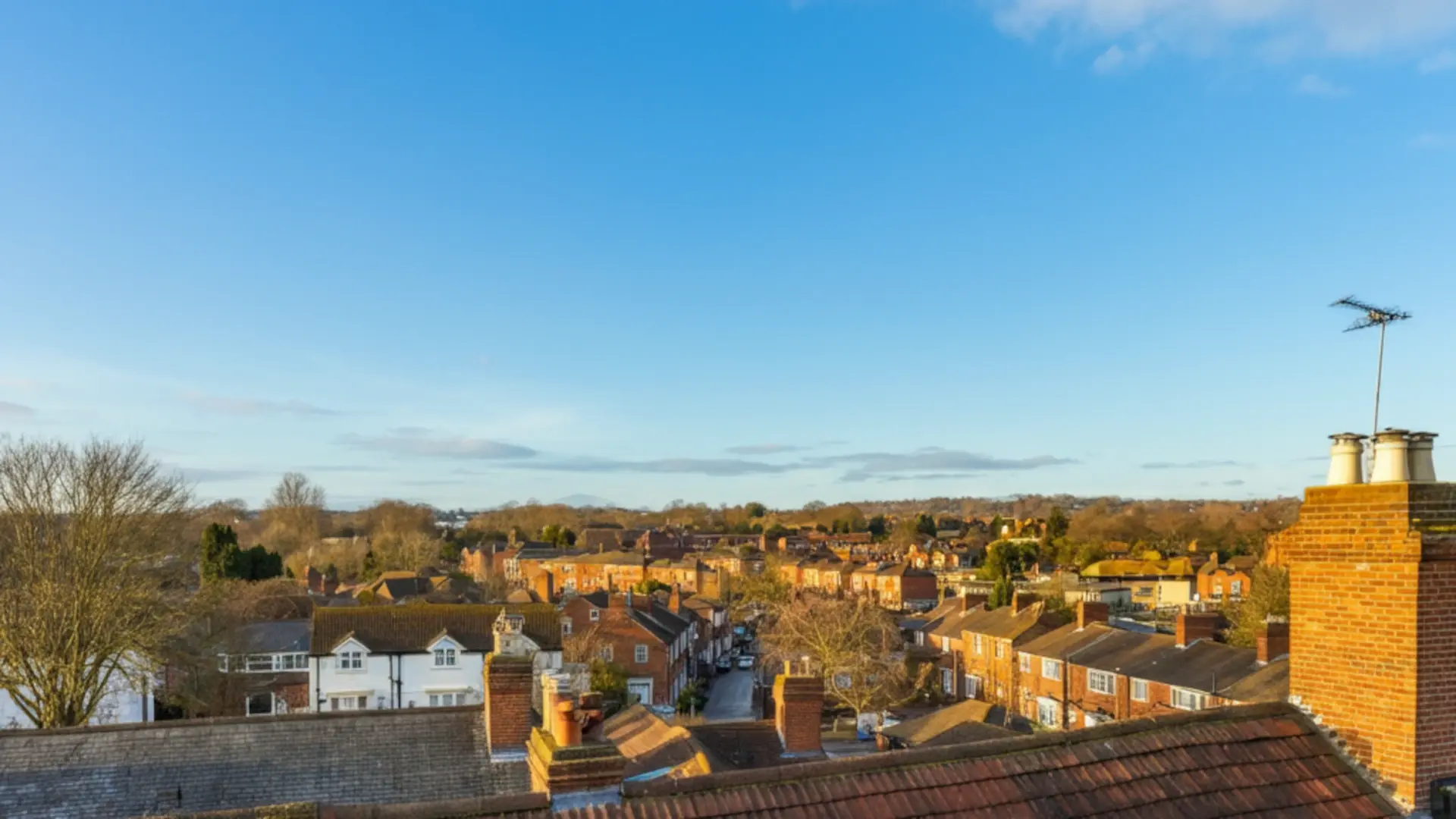 Professional moving services across rooftops